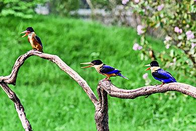 T1 3-2战胜BLG赢得S14冠军 Faker力夺S赛第五冠