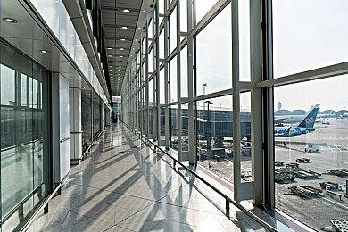 剧透慎入：玩家发掘《艾尔登法环》隐藏结局